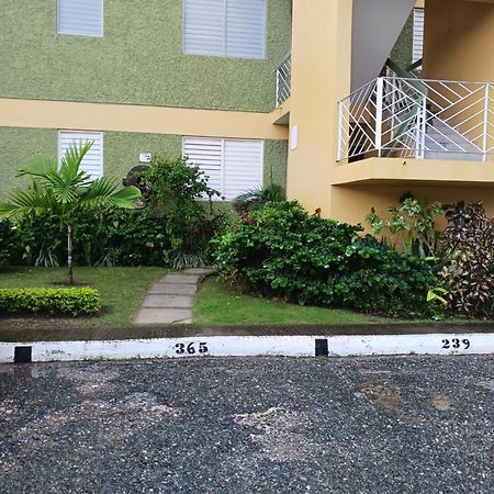 Chelsea Manor Apartment Kingston Bagian luar foto