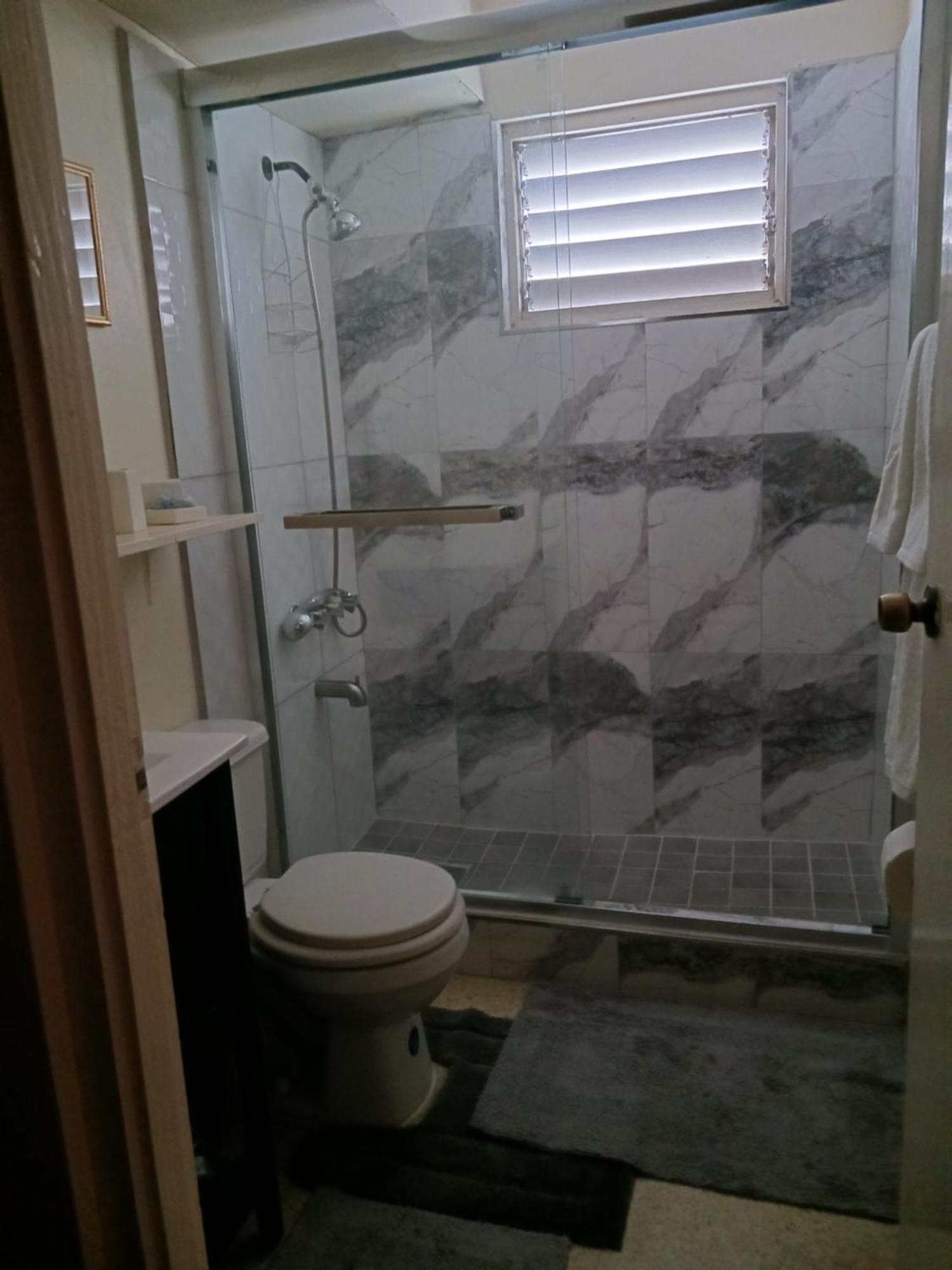 Chelsea Manor Apartment Kingston Bagian luar foto