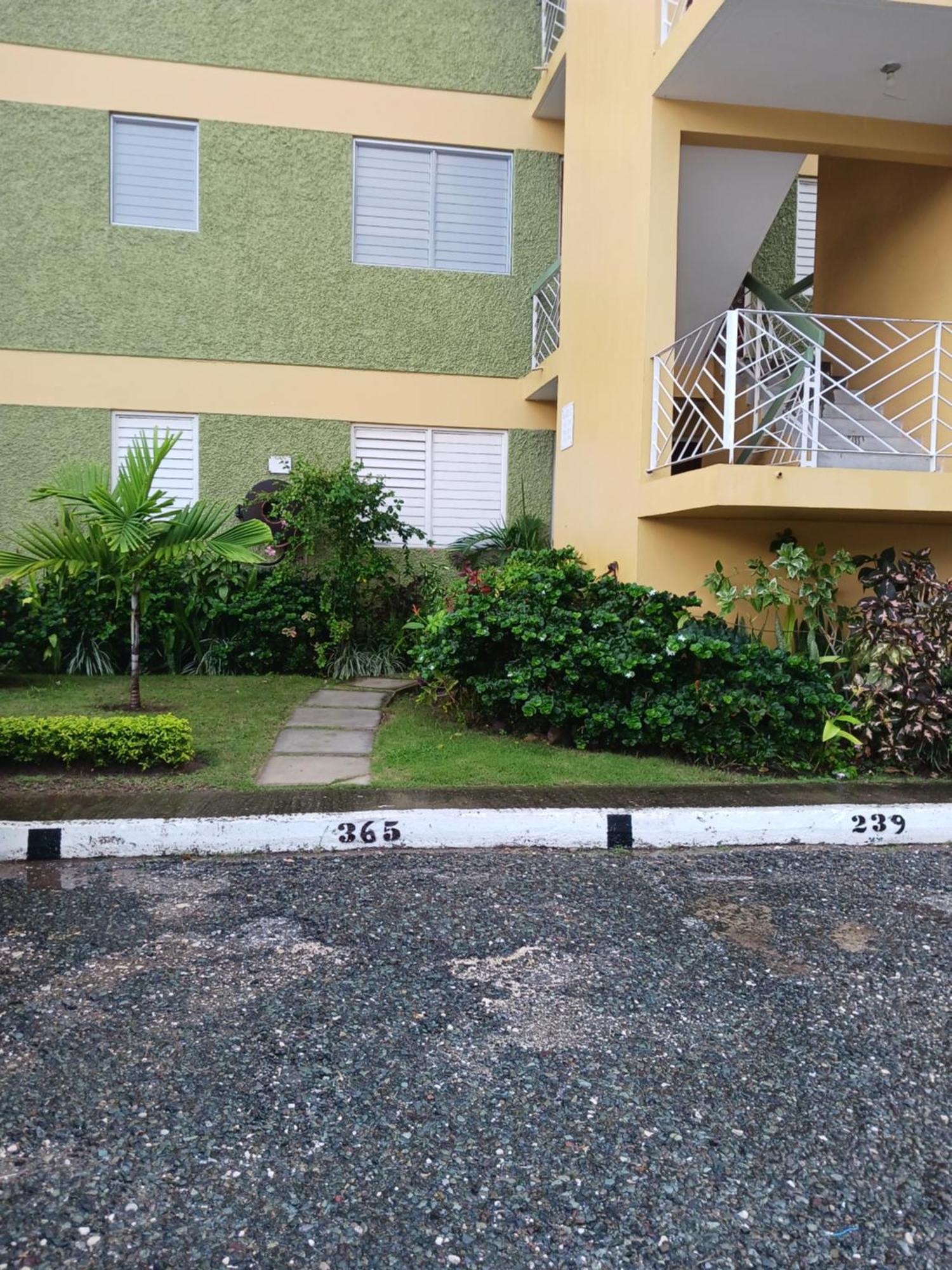 Chelsea Manor Apartment Kingston Bagian luar foto